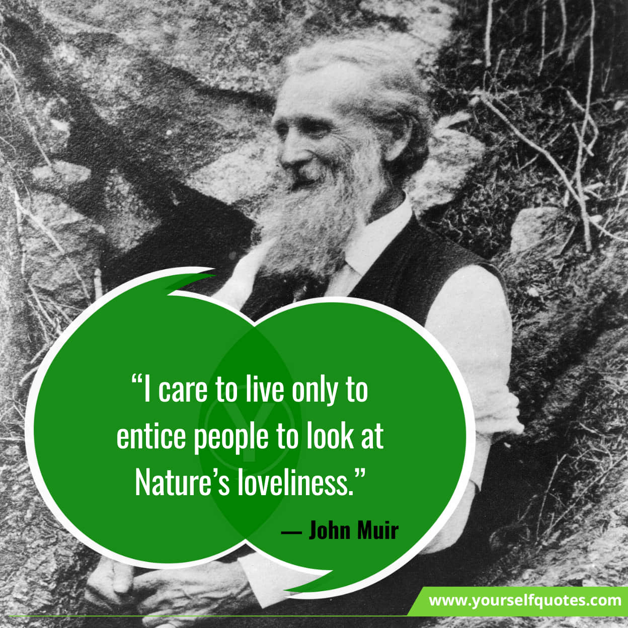 Beauty of Nature Quotes by John Muir