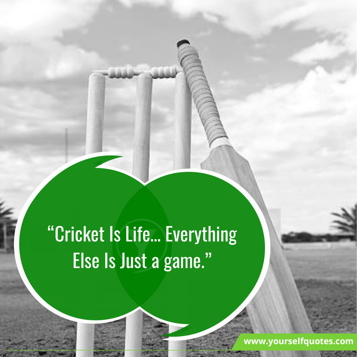 Best Cricket Quotes 