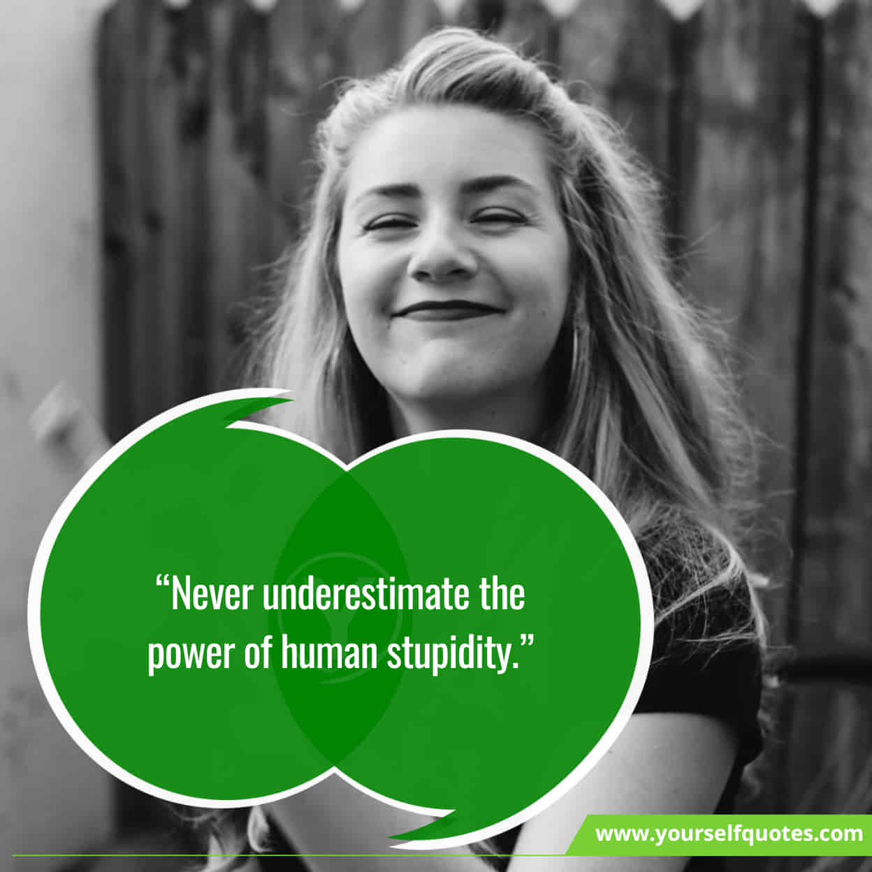 Best Funny Quotes On Stupid