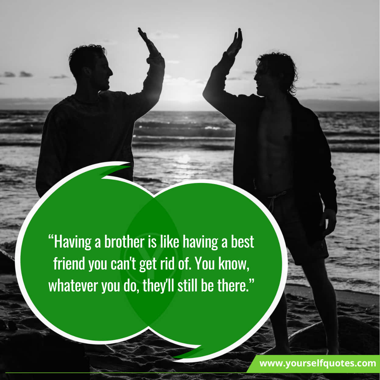 Best Quotes About National Brother Day