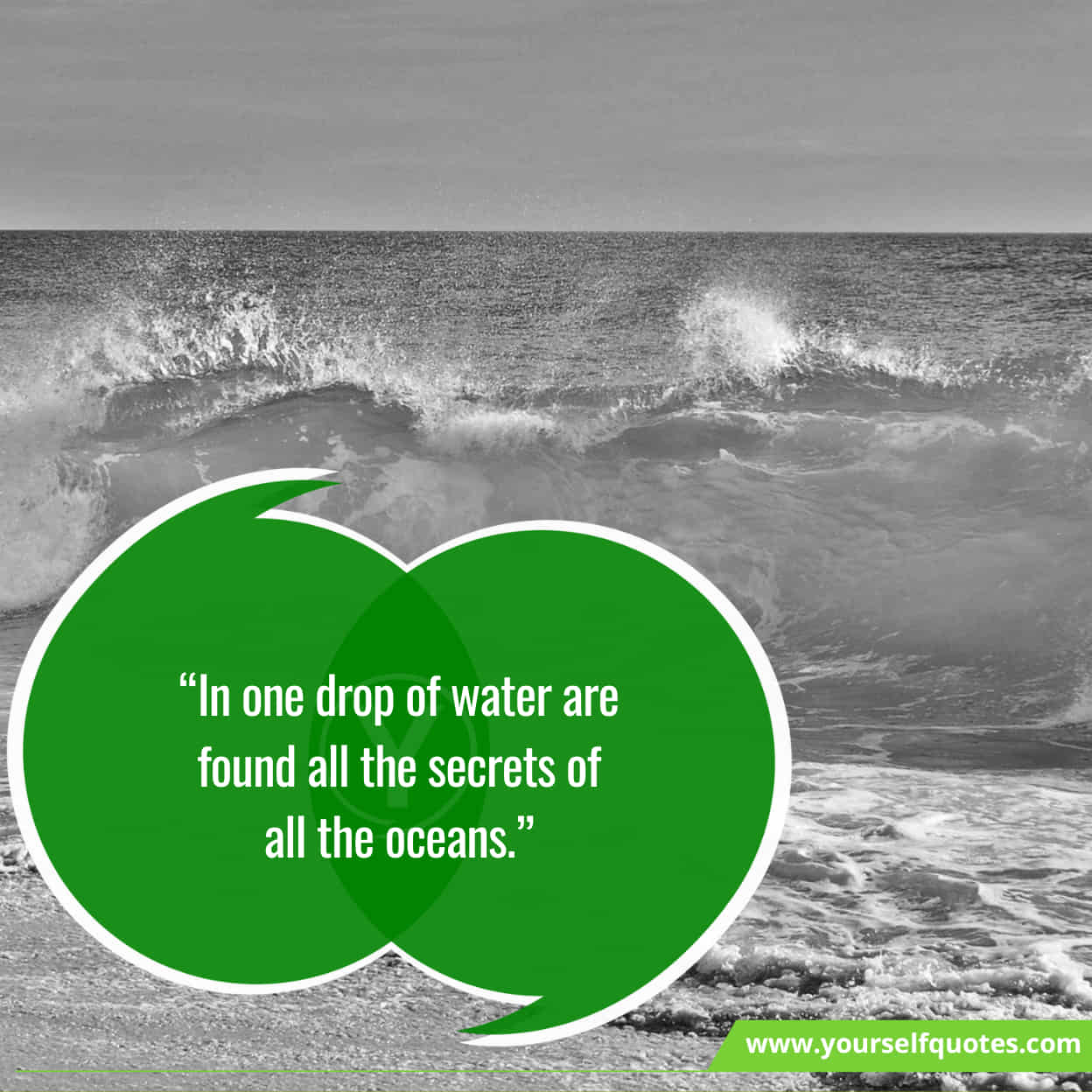 Best Quotes About Water