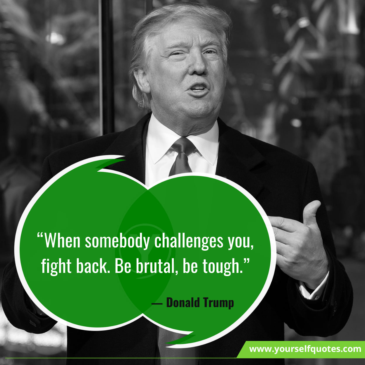 Donald Trump Quotes on Wall