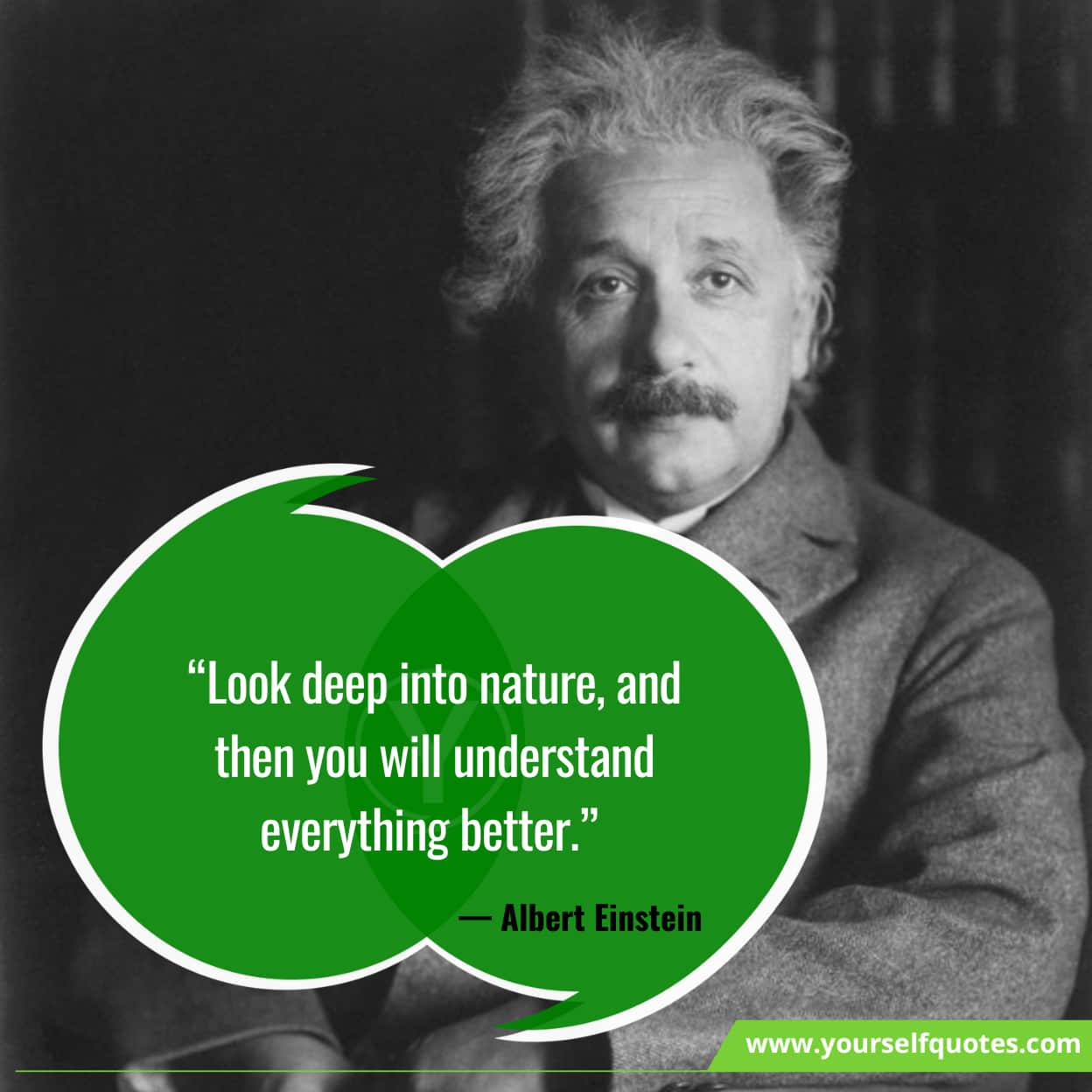 Best Quotes On Nature 