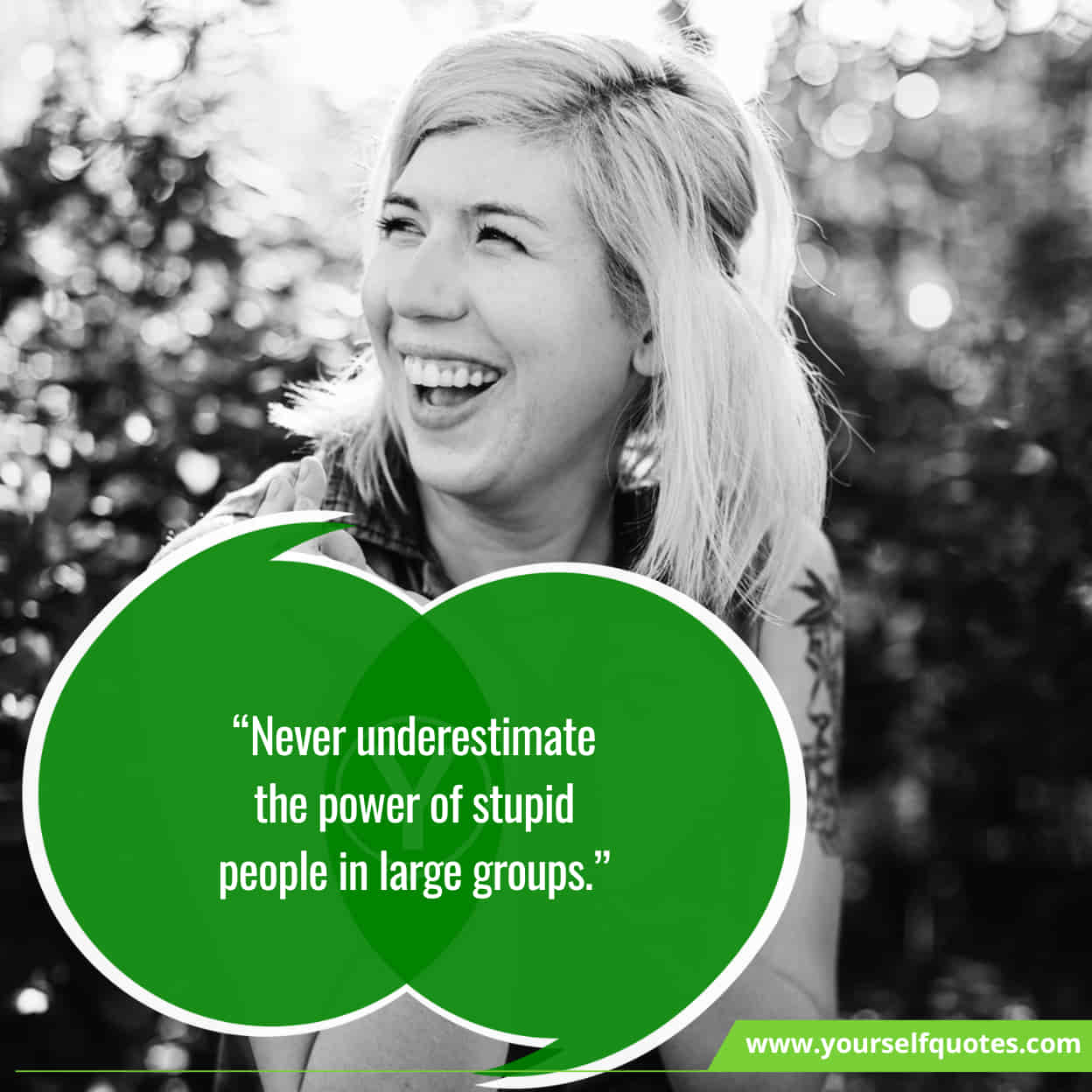 Best Quotes On Stupid