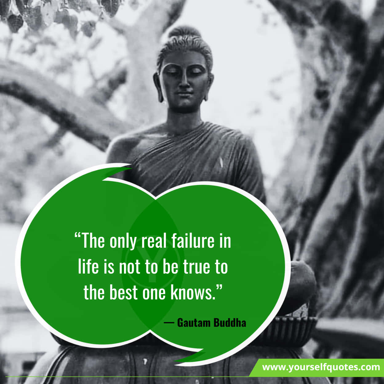 Buddha Quotes For Success