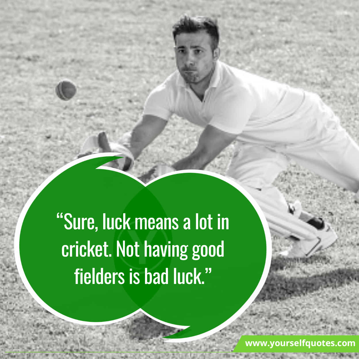 Cricket Quotes For Playing Cricket