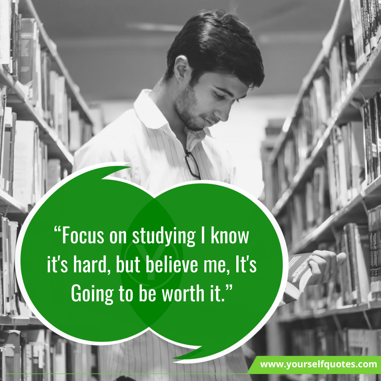 Focus On Study Quotes