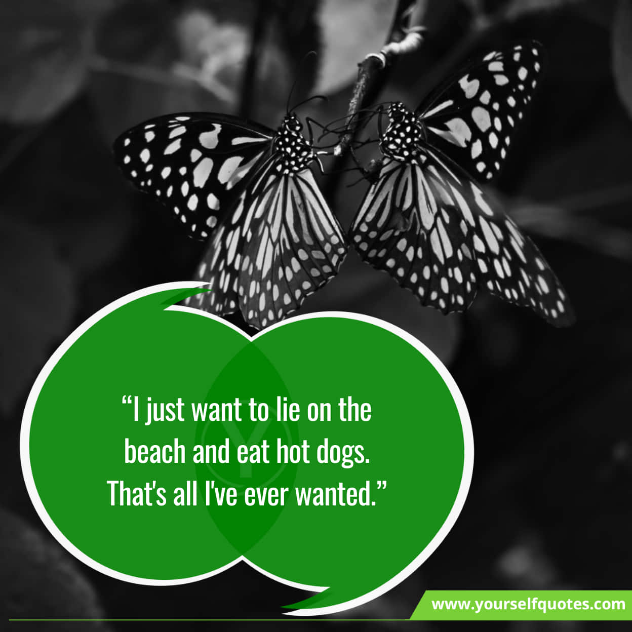 Inspirational Best Quotes On Butterfly