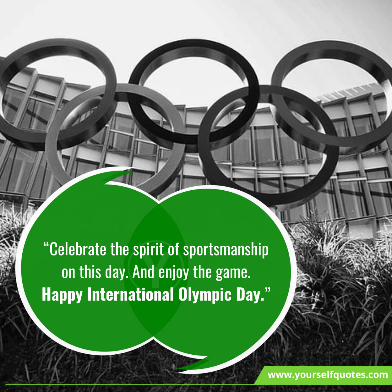 International Olympic Day Wishes