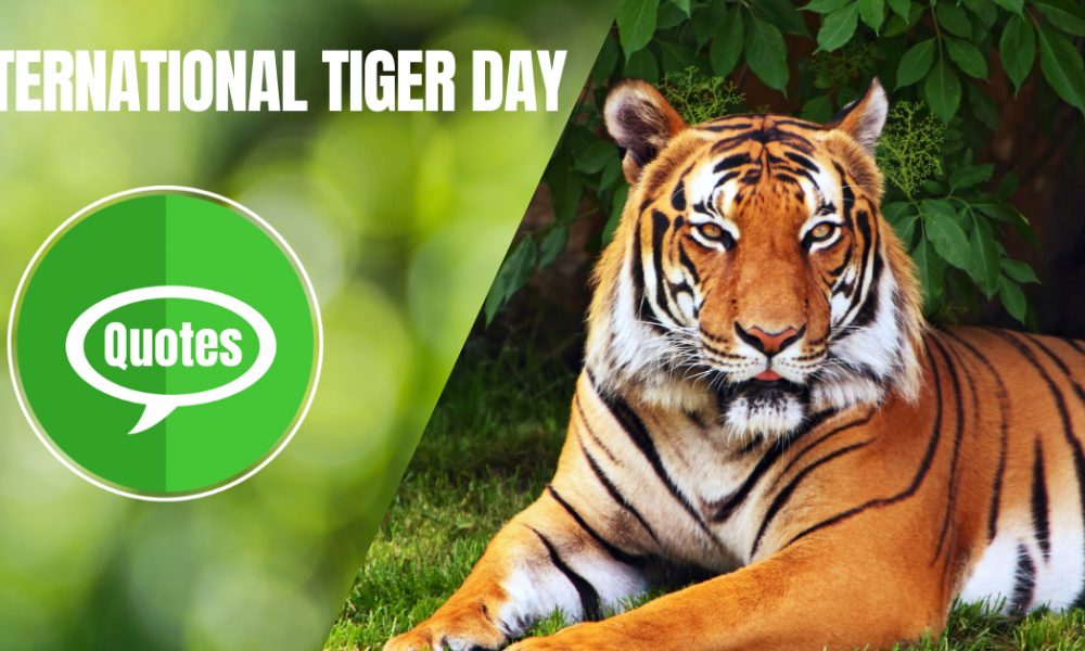 International Tiger Day Quotes, Messages, Wishes, History, Importance