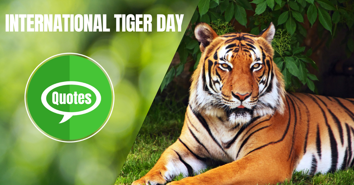 International Tiger Day Quotes, Messages, Wishes, History, Importance And  More
