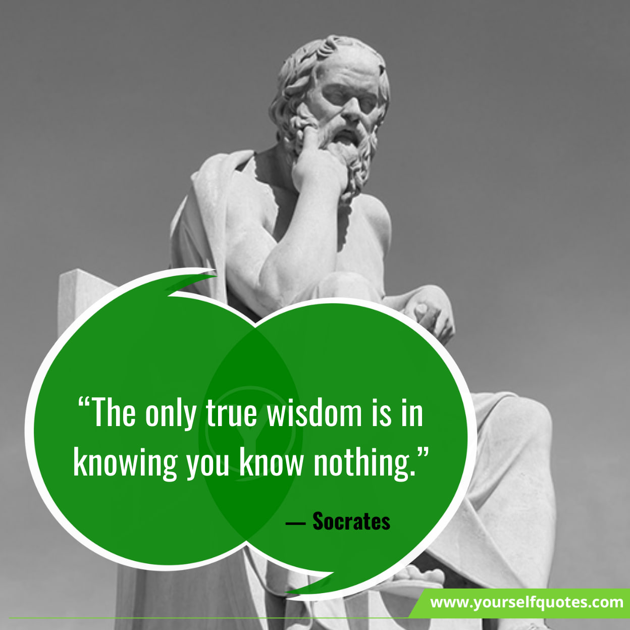 Knowledge Quotes On Wisdom