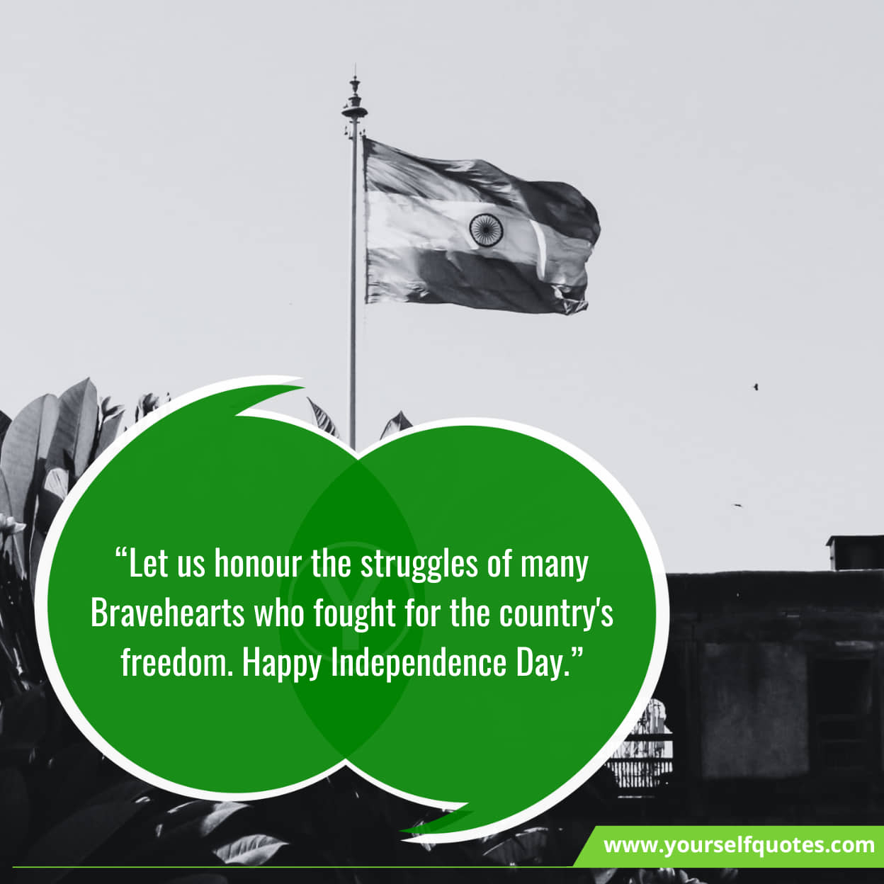 Latest Happy Independence Messages For Freedom Fighters