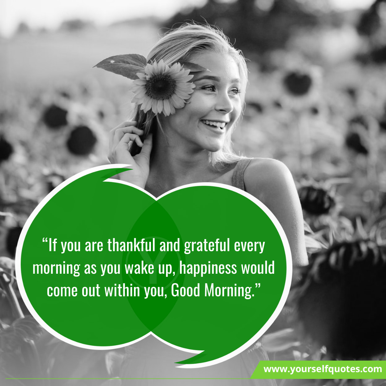 Morning Motivation Quotes On Gratitude