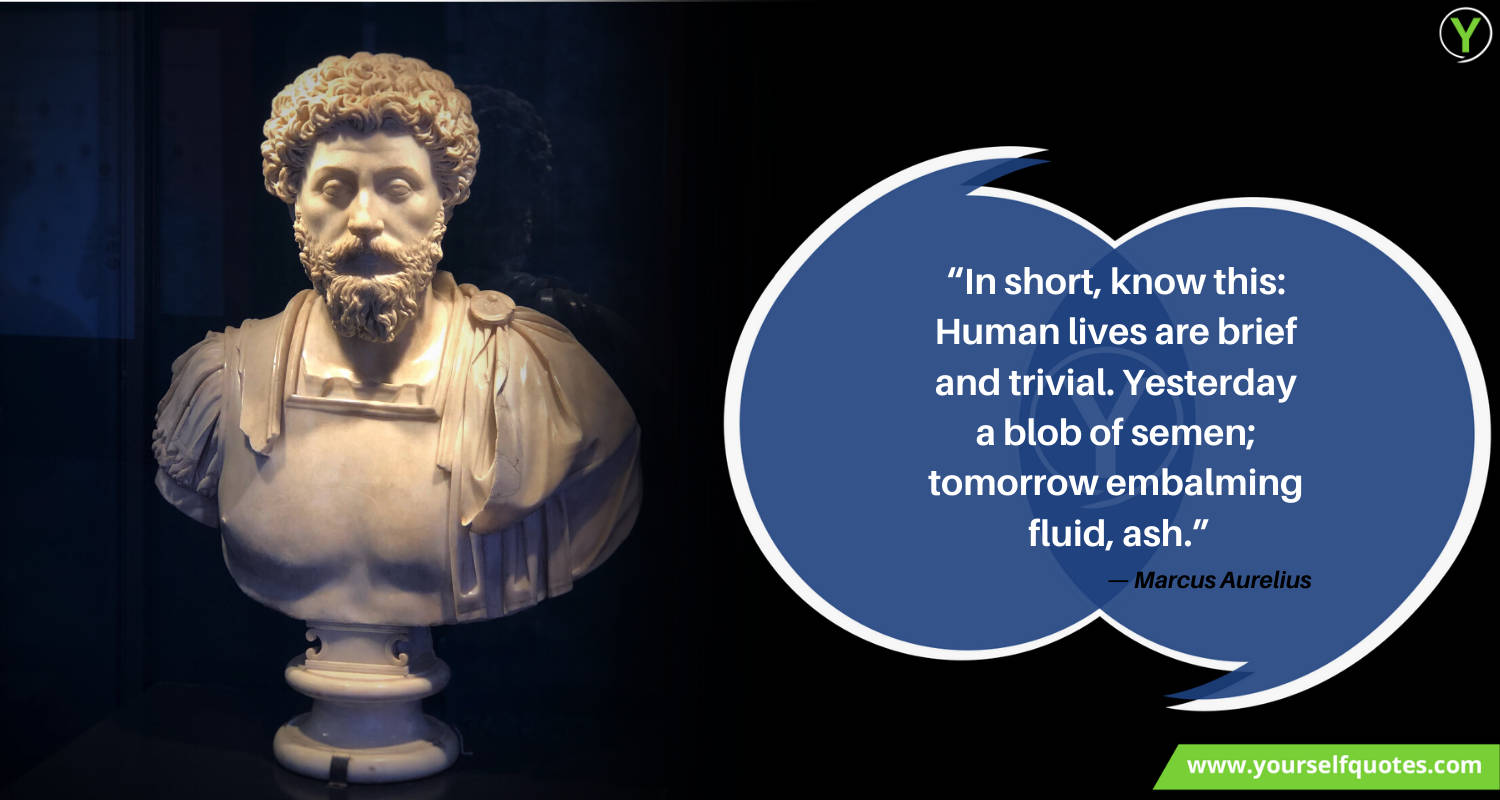 Quote by Marcus Aurelius