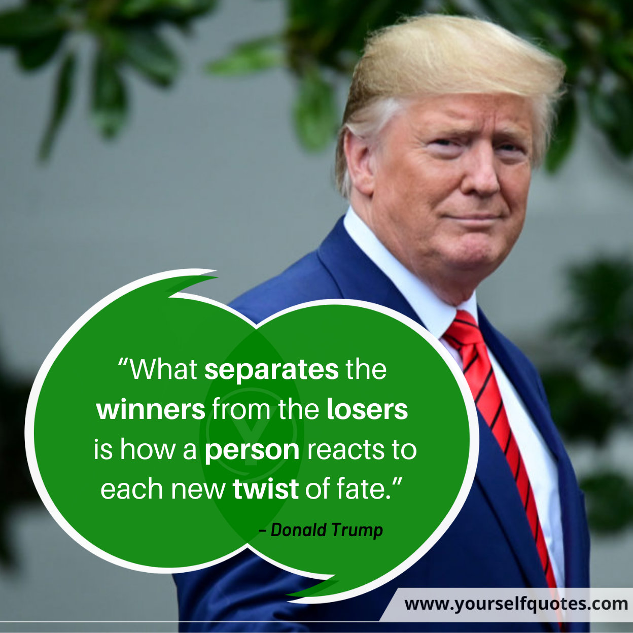 Quotes by Donald Trump