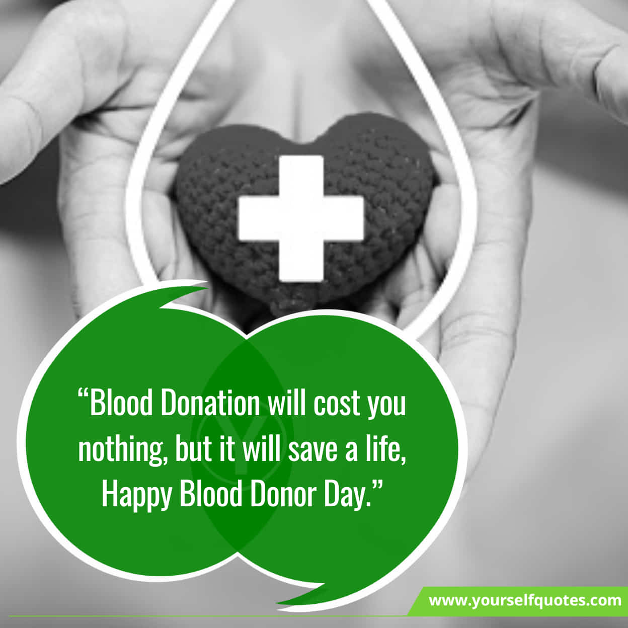World Blood Donor Day Sayings