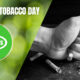 World No Tobacco Day Quotes, Messages, Slogans
