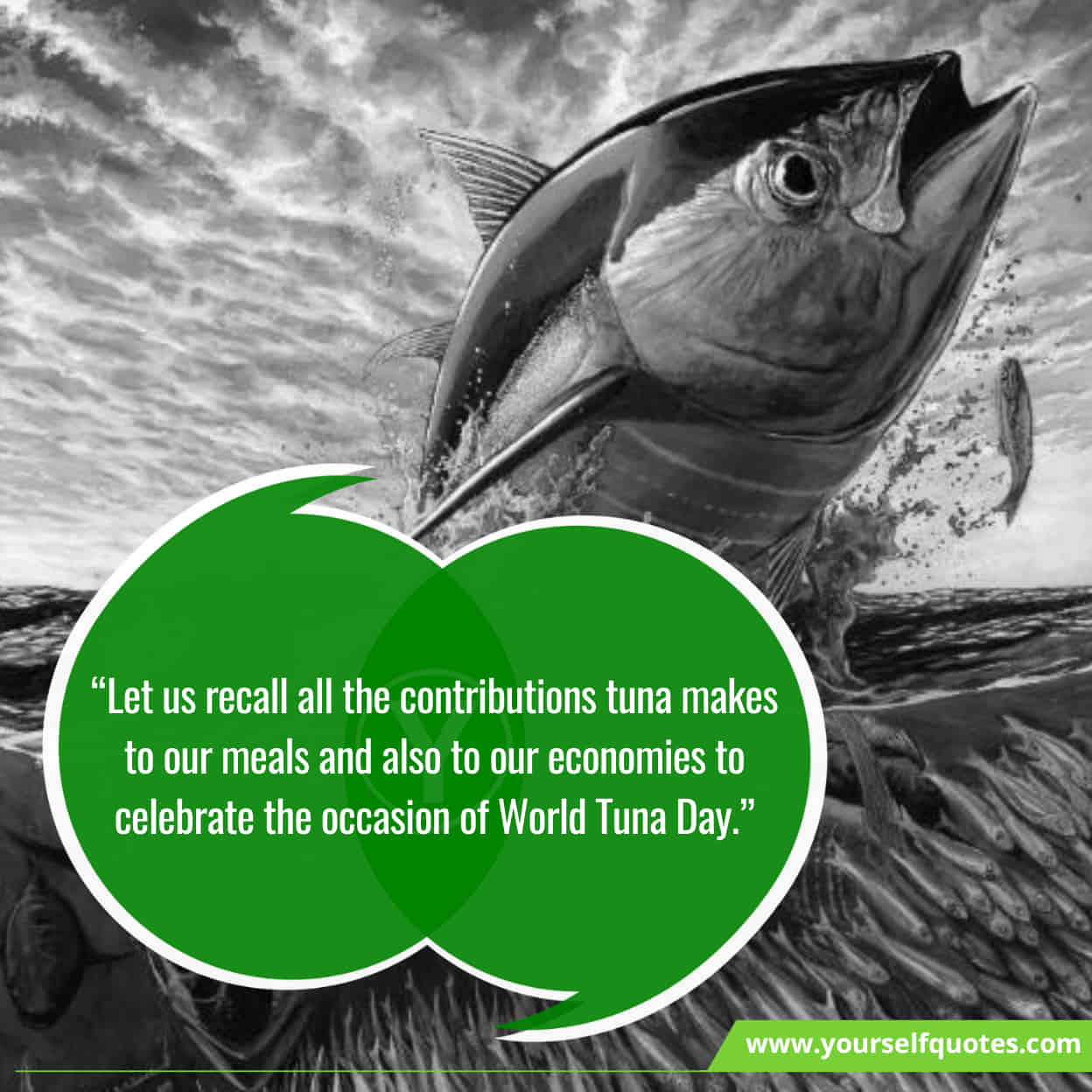 World Tuna Day Messages & Slogans