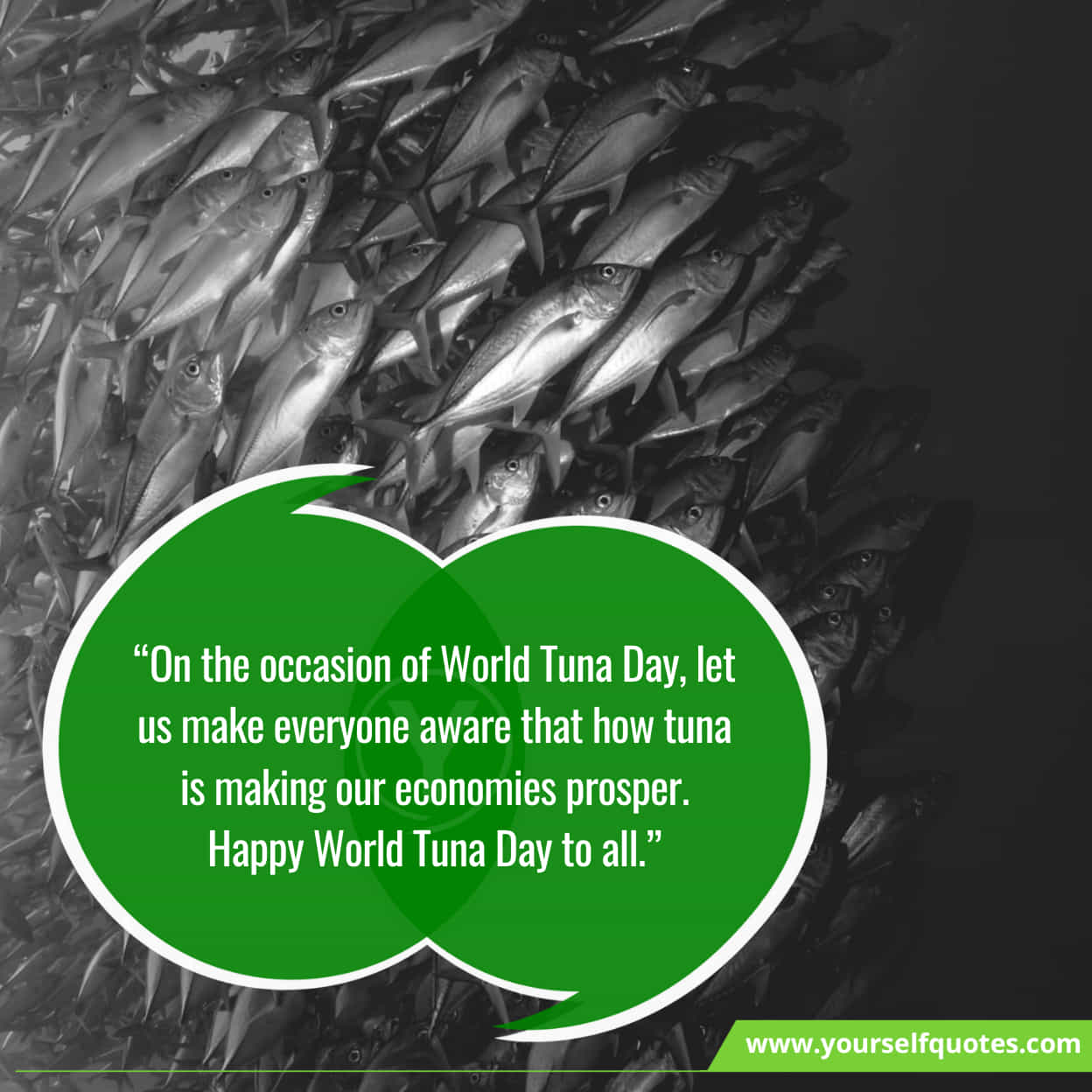 World Tuna Day Wishes 