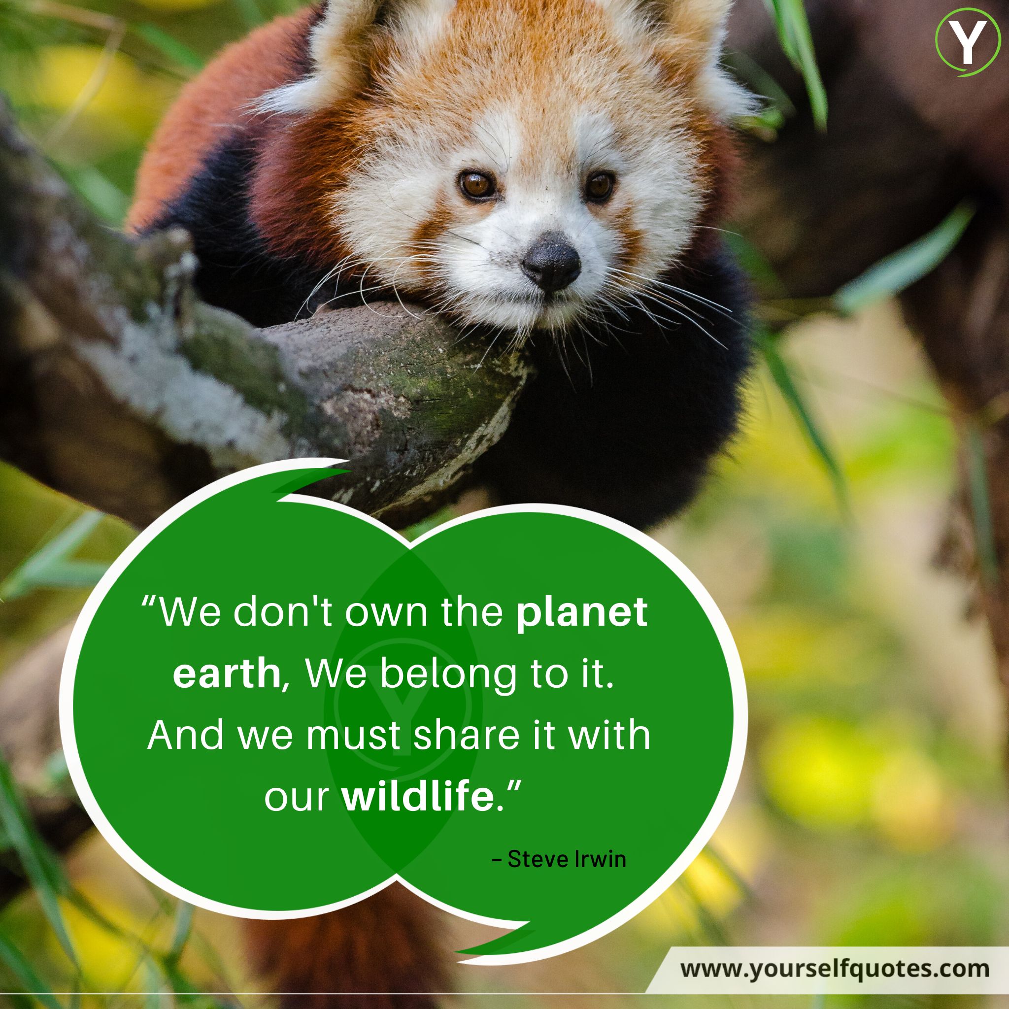 World Wildlife Day Quotes Wishes That Will Help Sustain All Life On Earth