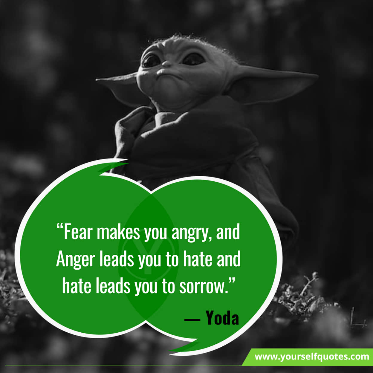 Yoda Quotes About Life